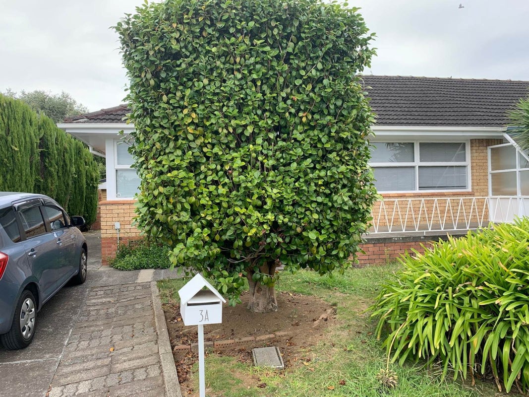 3A Holden Place, Manukau, Auckland - Carousel 1
