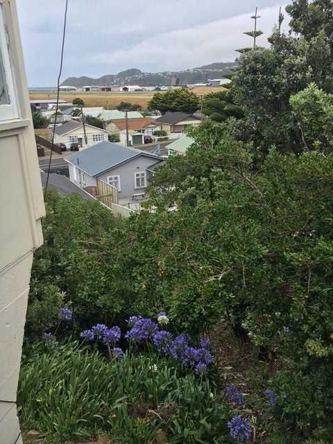 108A Wexford Road, Miramar, Wellington - Carousel 8
