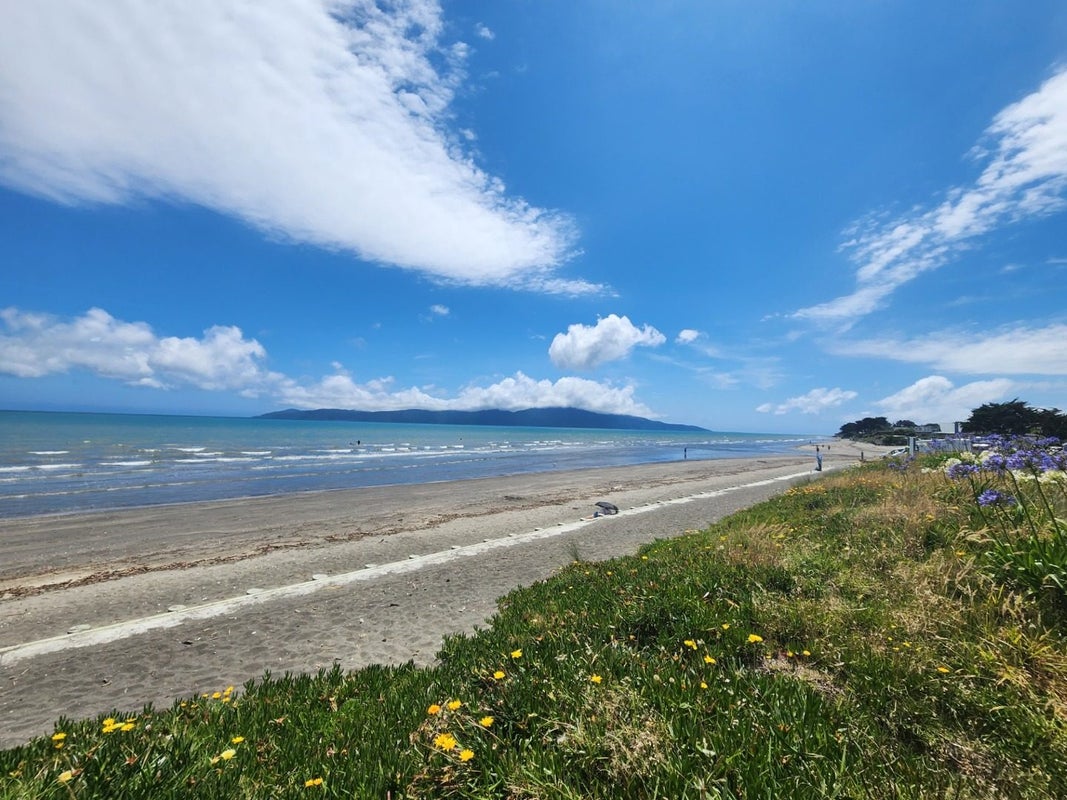 3 Nola Avenue, Raumati Beach, Paraparaumu - Carousel 16