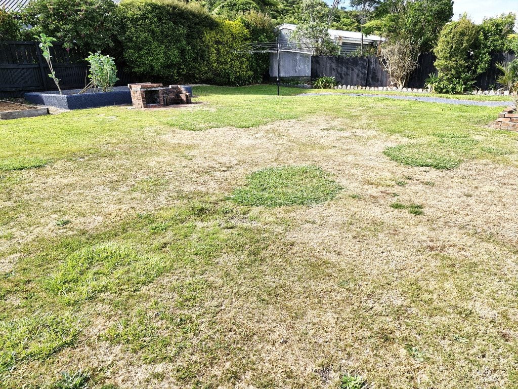 41 Main South Road, Karoro, Greymouth - Carousel 24