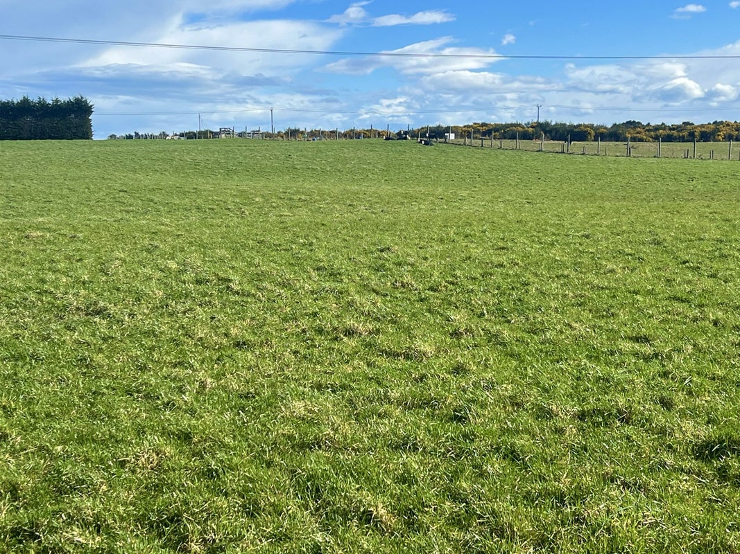 31 Mason Road, Seaward Bush, Invercargill - Carousel 2