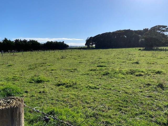 38 Kotuku Road, Waiuku - Carousel 11