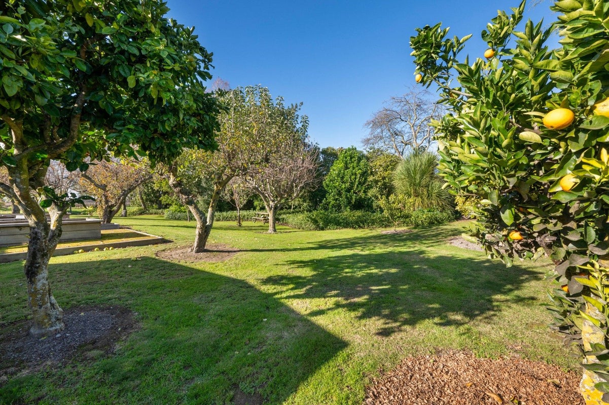 43 Tytler Street, Grovetown, Blenheim - Carousel 47