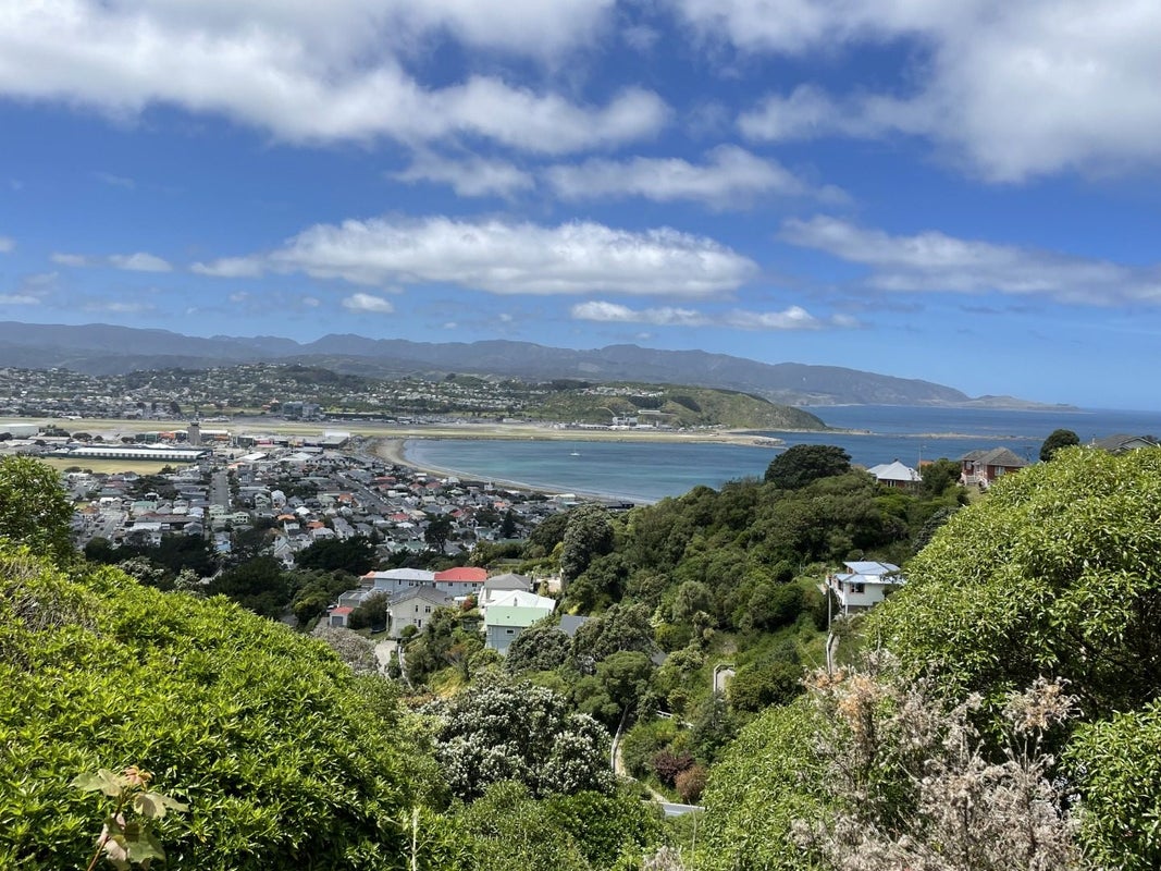 27 Hornsey Road, Melrose, Wellington - Carousel 2