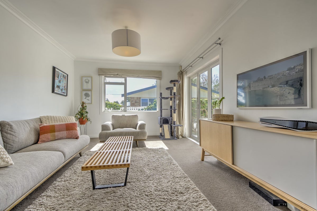 19 Nixon Street, Hamilton East, Hamilton - Carousel 2