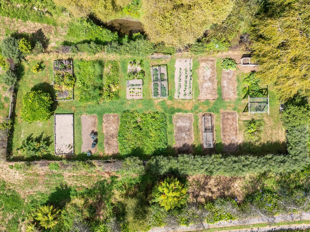 86 Derham Road, Te Horo, Otaki - Carousel 27