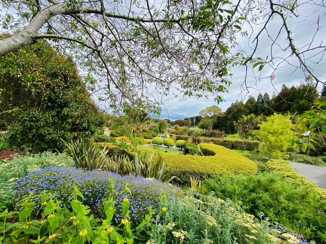 2 Pat O'Connor Place, Manurewa, Auckland - Carousel 20