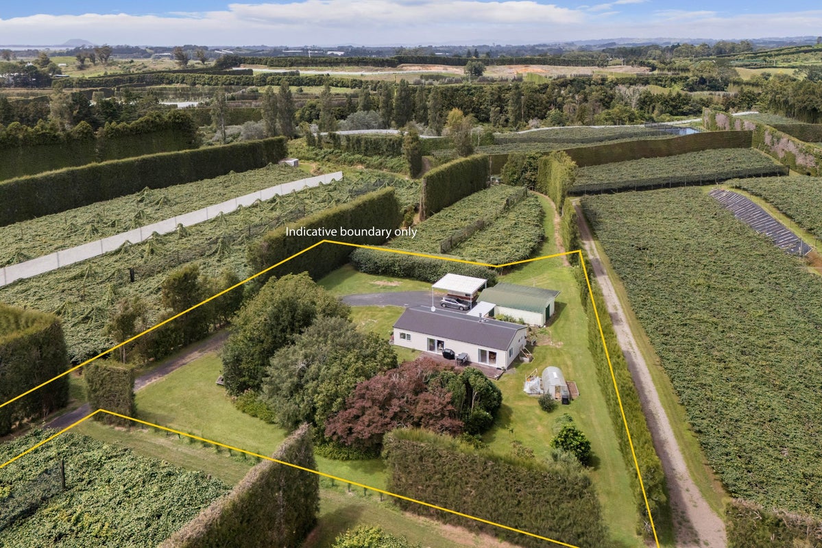 81 Lockington Road, Aongatete, Katikati - Carousel 22
