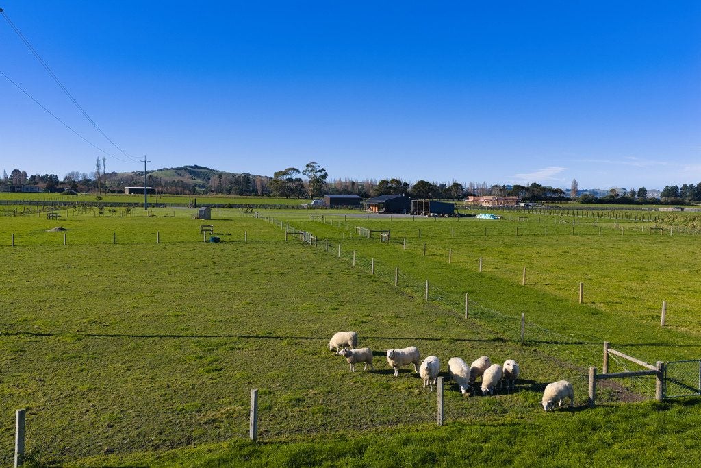 12 Te Ao Wharepapa Lane, Peketa, Kaikoura - Carousel 34
