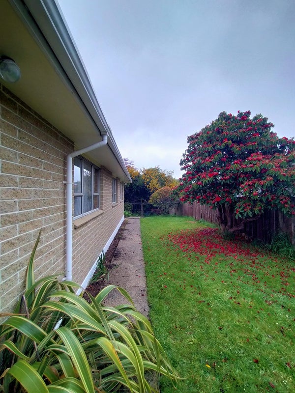 1 Gibson Street, Kaikorai, Dunedin - Carousel 2