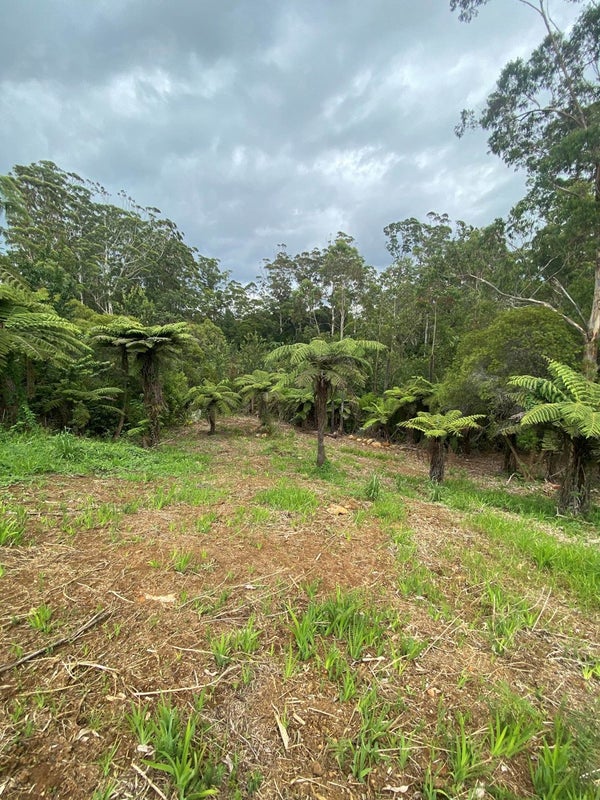 212 Waimate Road, KERIKERI, Kerikeri - Carousel 1