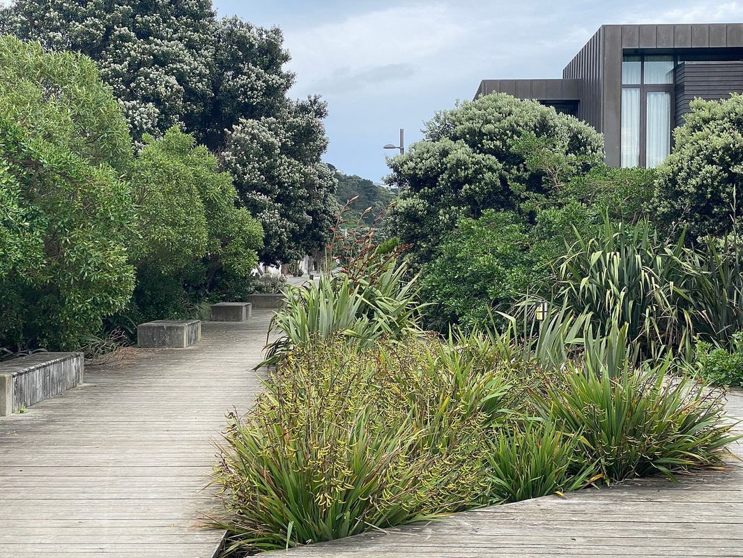 7 Steeple Lane, Seatoun, Wellington - Carousel 22