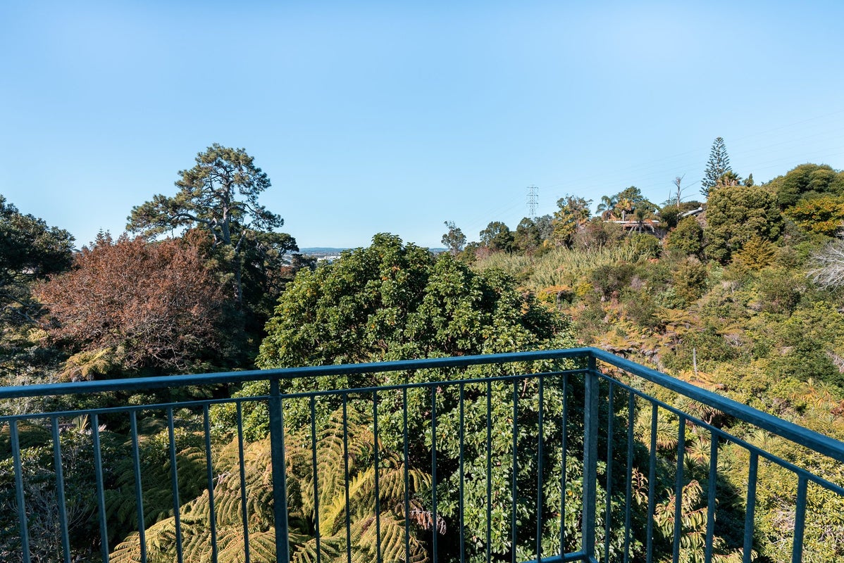 23P Hendry Avenue, Hillsborough, Auckland - Carousel 13