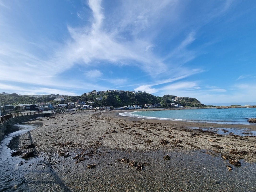 80 Owhiro Bay Parade, Owhiro Bay, Wellington - Carousel 16