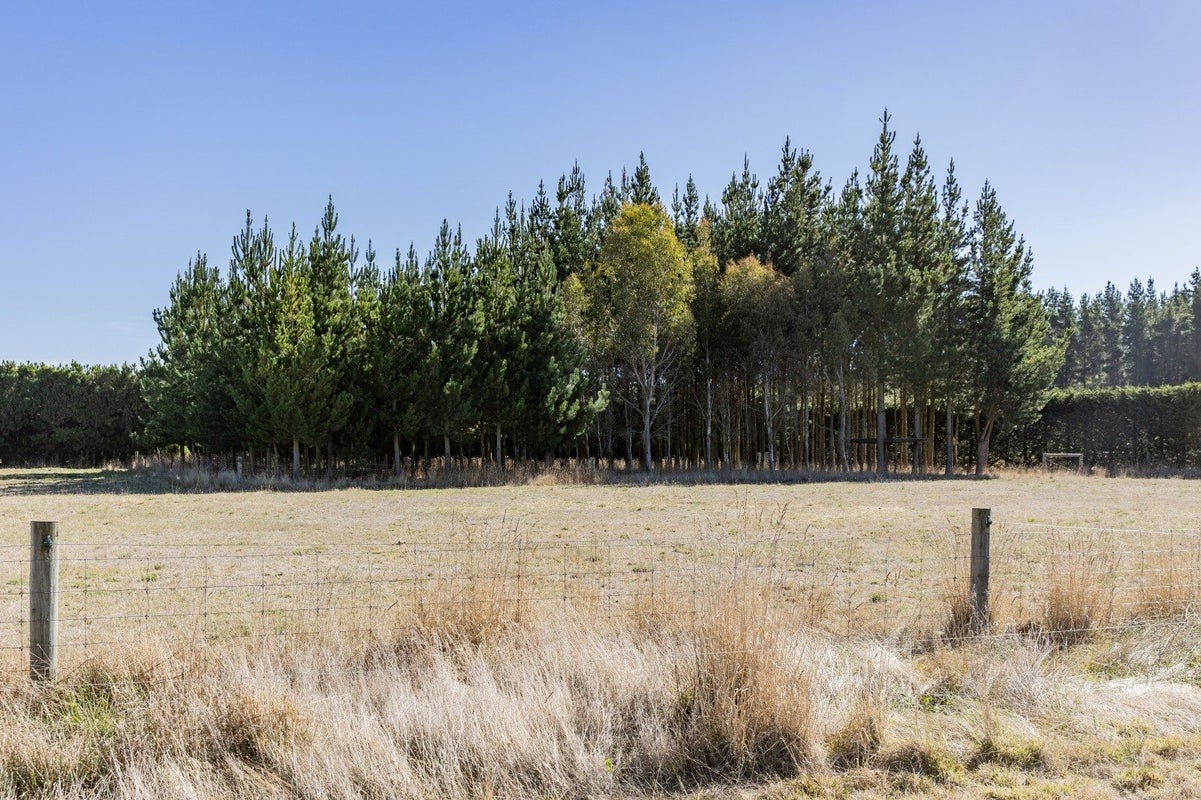 579 Oxford Road, Fernside, Rangiora - Carousel 33