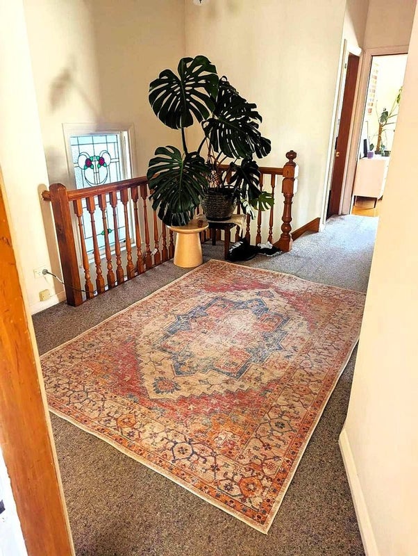 52 Majoribanks Street, Mount Victoria, Wellington - Carousel 2