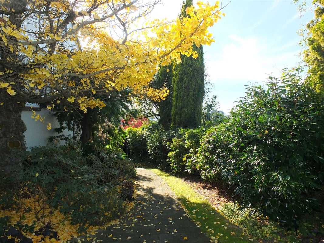 21A Wai-Iti Road, Maori Hill, Timaru - Carousel 20