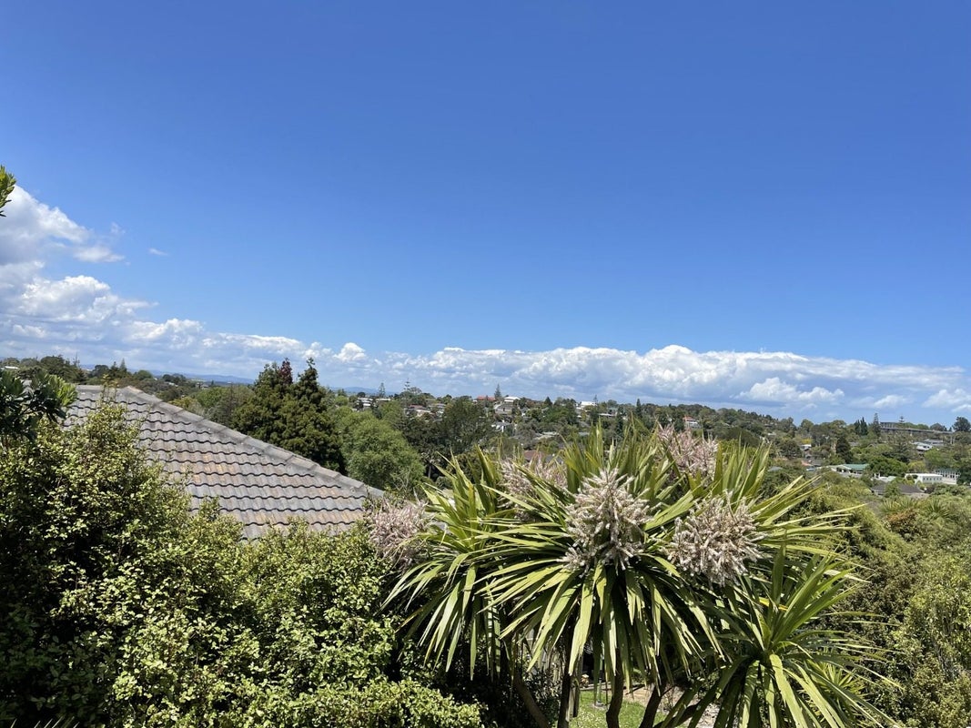 104 Lantana Road, Green Bay, Auckland - Carousel 2