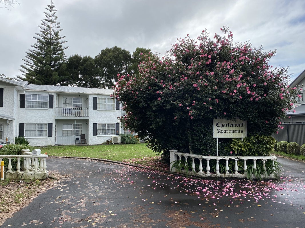 44G Charlemont Street, Whitiora, Hamilton - Carousel 1