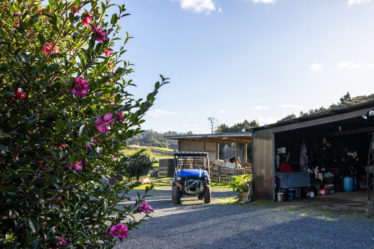 719 Waikare Road, Karetu, Kawakawa - Carousel 43