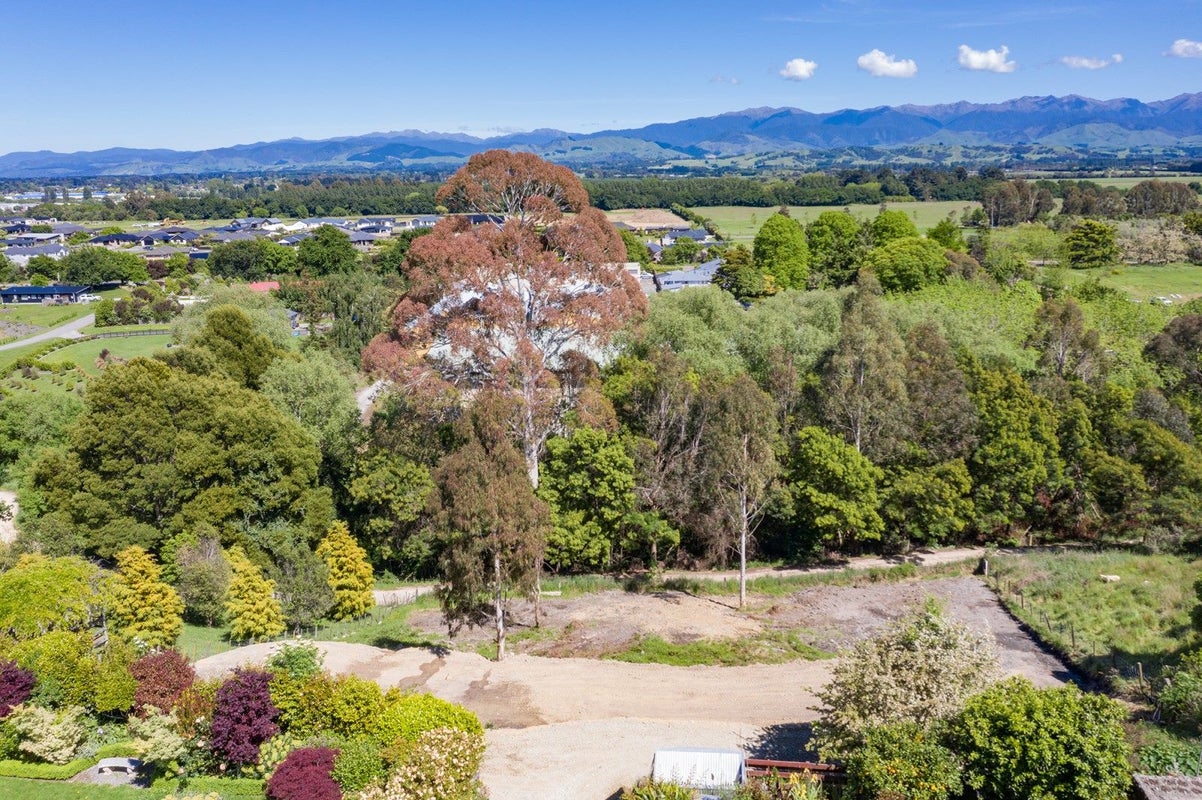 91 Titoki Street, Lansdowne, Masterton - Carousel 8