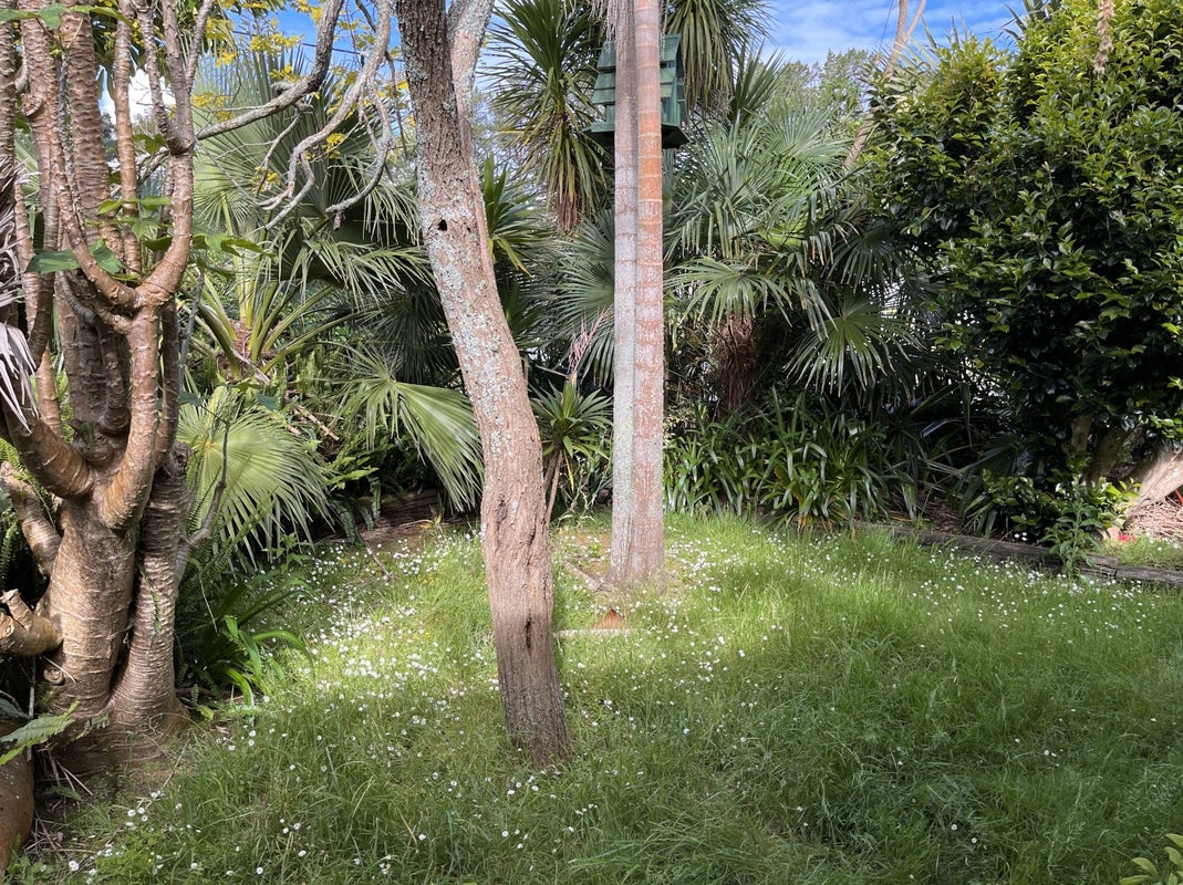 19 James Mcleod Road, Helensville - Carousel 14