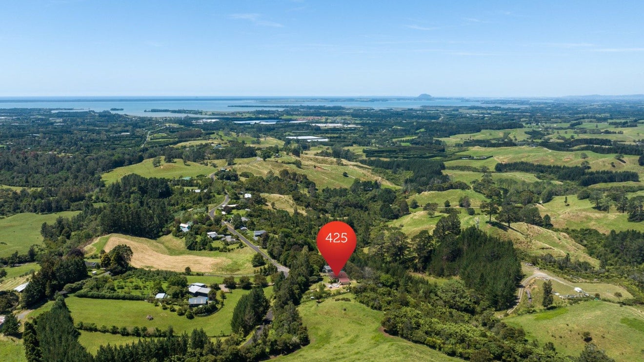 425 Hot Springs Road, Tahawai, Katikati - Carousel 33