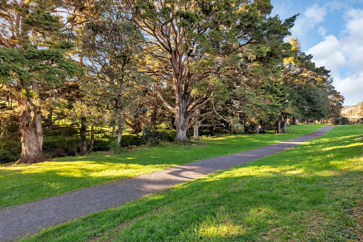 7 Wellingrove Place, Kamo, Whangarei - Carousel 32