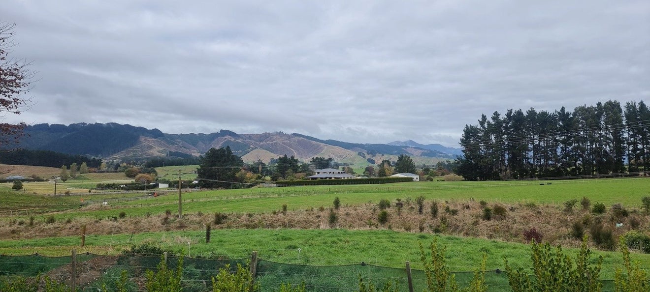 45 Tavistock Road, Koputaroa, Shannon - Carousel 31