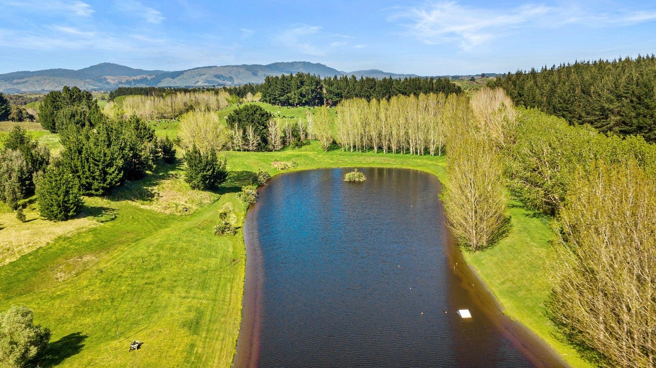 253 Taylors Road, Otaki - Carousel 15