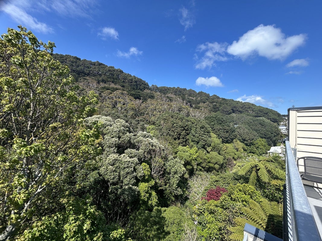 29 Lawson Place, Mount Victoria, Wellington - Carousel 1