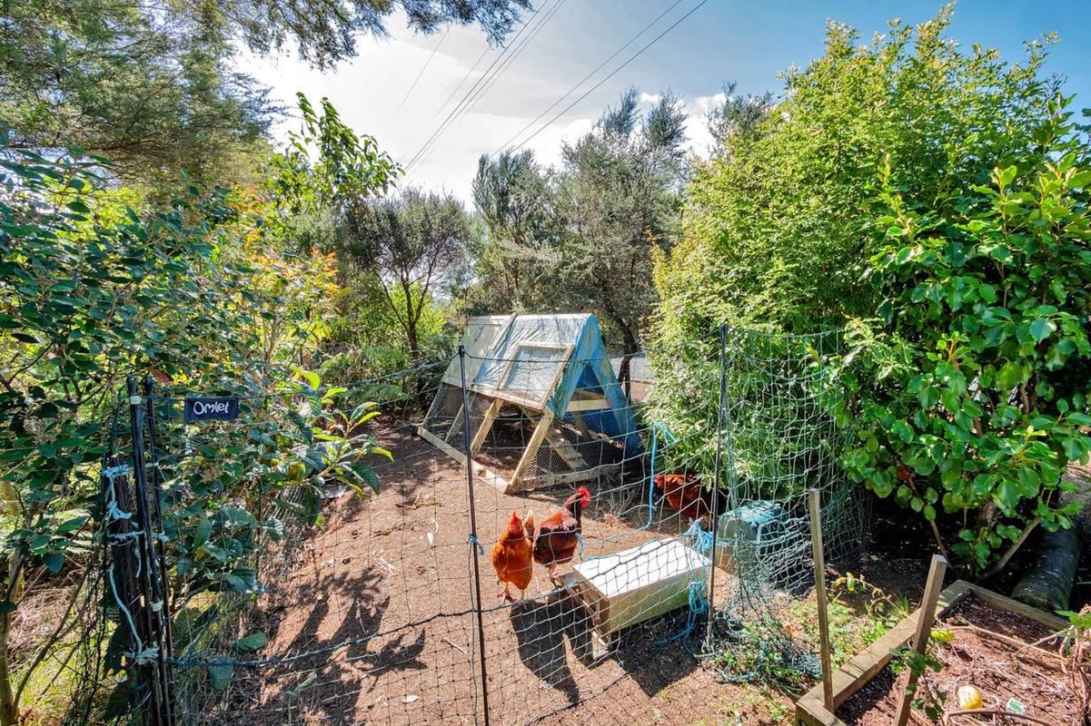150 Kennedy Road, Albany - Carousel 1