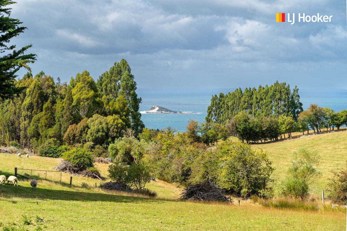 200 McMaster Road, Saddle Hill, Dunedin - Carousel 1