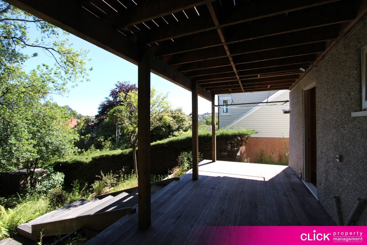 37 Prestwick Street, Maori Hill, Dunedin - Carousel 21