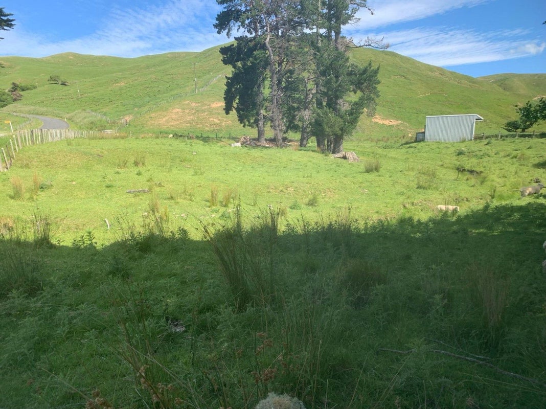 106 River Road, Pongaroa - Carousel 22