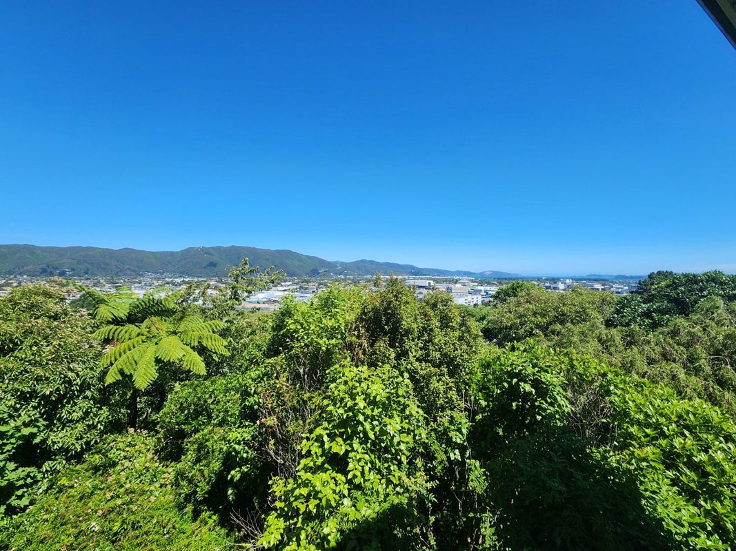 11 Onehuka Road, Tirohanga, Lower Hutt - Carousel 17