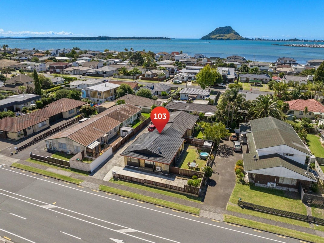 103 Chapel Street, Otumoetai, Tauranga - Carousel 19