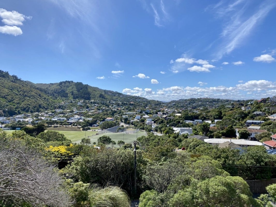 8 Punjab Street, Khandallah, Wellington - Carousel 12