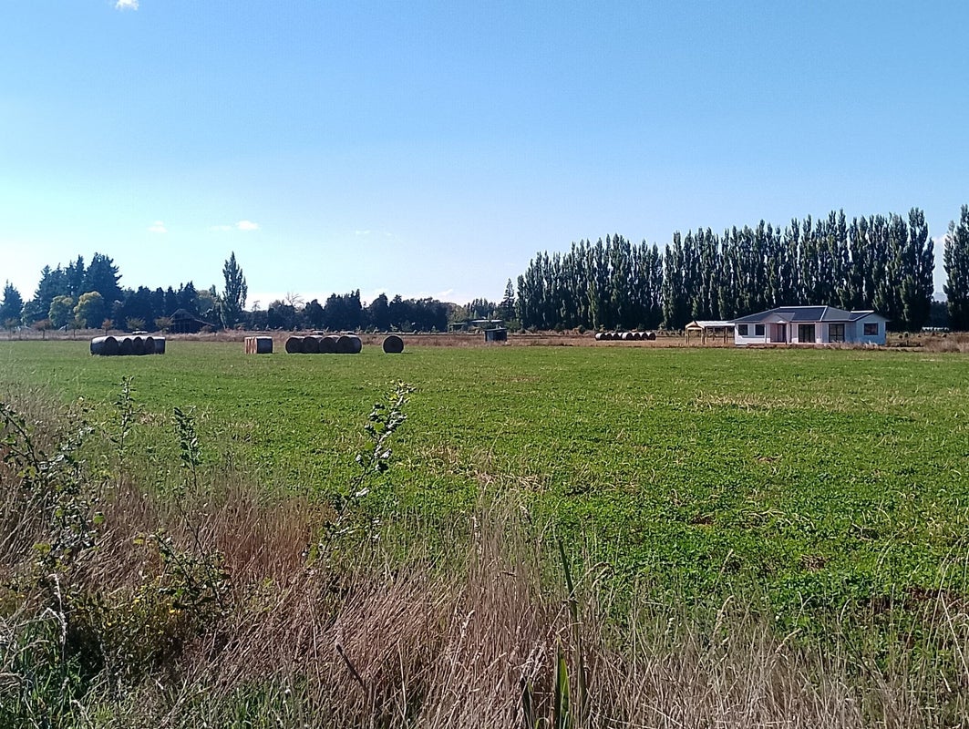 2550 State Highway 2, Ahikouka - Carousel 10