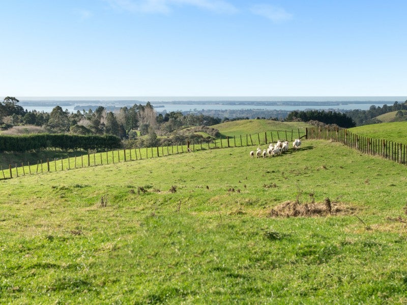 50B Goodall Road, Whakamarama, Whakamārama - Carousel 2