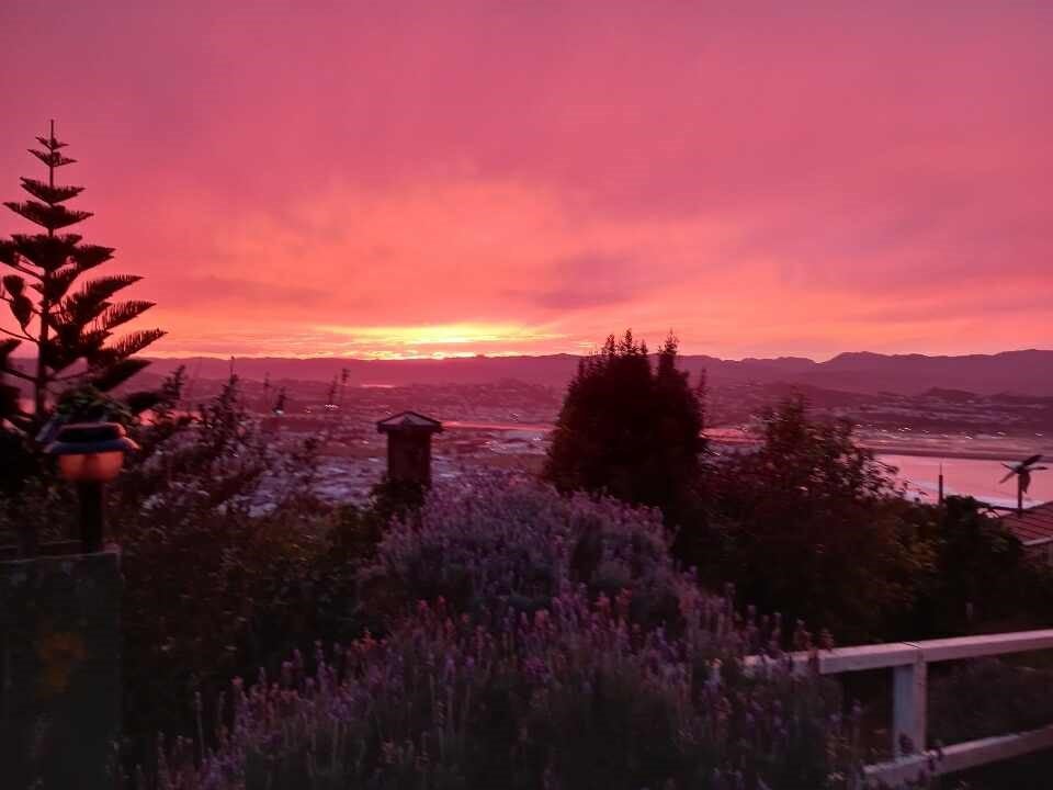 21 Dunedin Terrace, Melrose, Wellington - Carousel 15