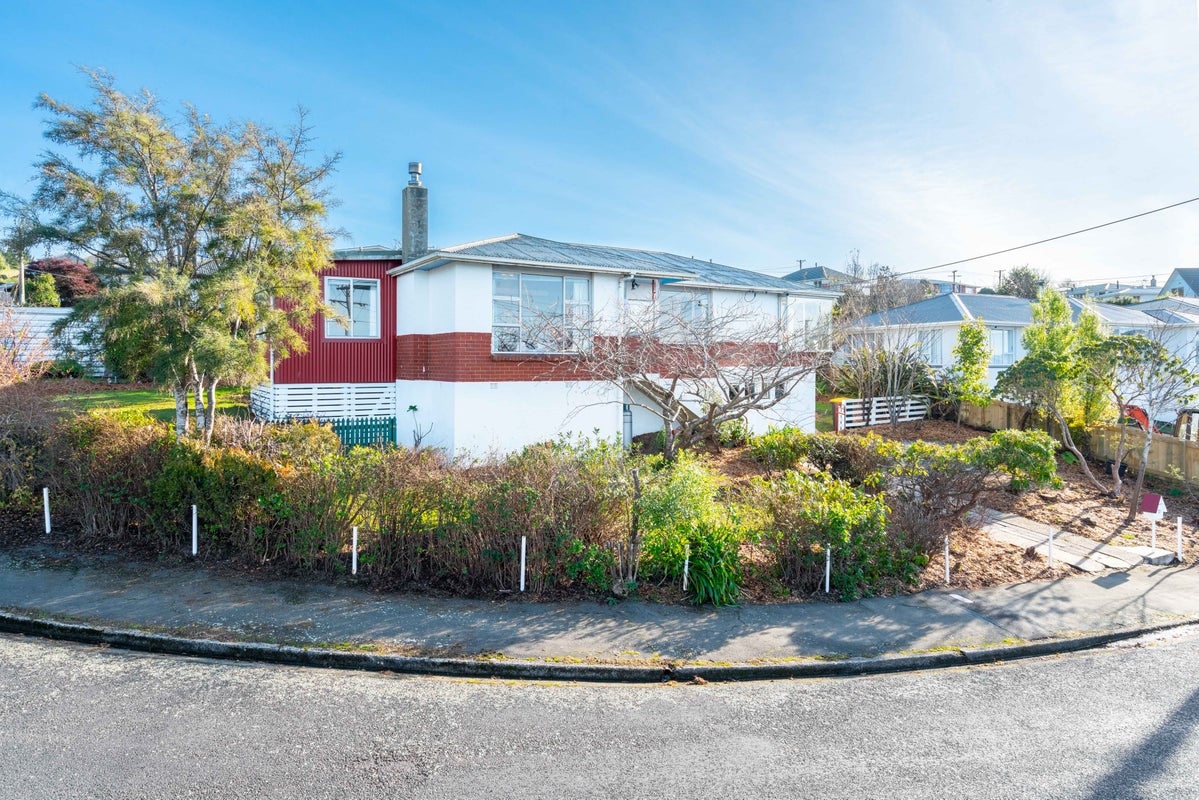 10 McDonald Street, Brockville, Dunedin - Carousel 18