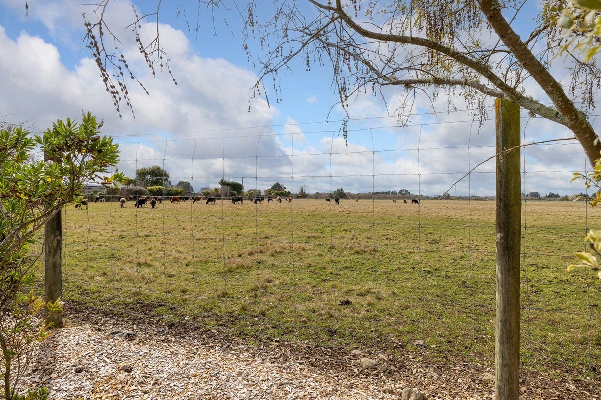 98 Norfolk Road, Waingawa, Carterton - Carousel 19