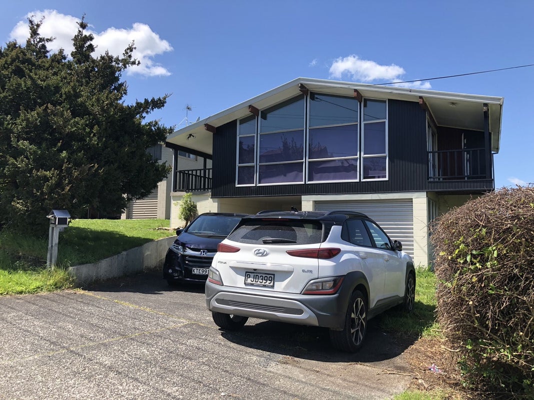 16 Newcastle Road, Dinsdale, Hamilton - Carousel 1