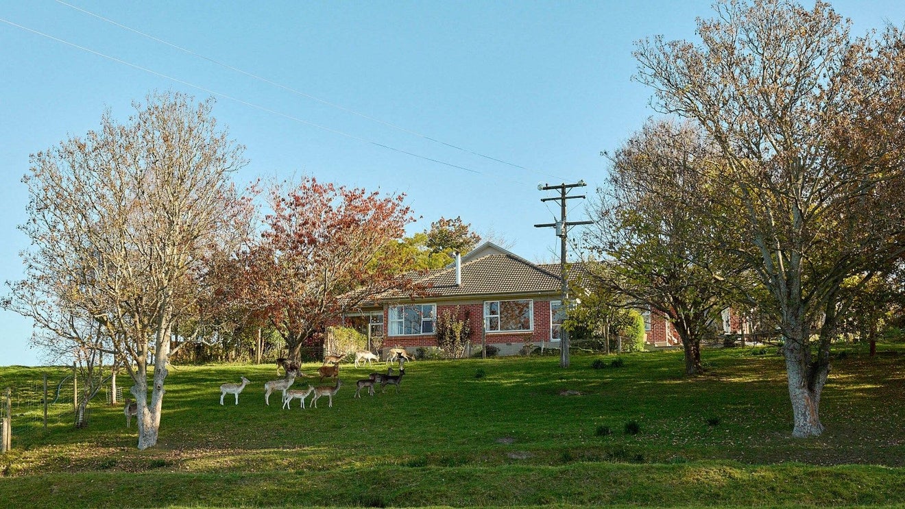 691 Pleasant Point Highway, Levels, Timaru - Carousel 21