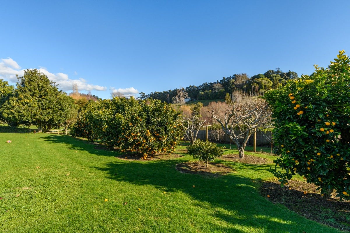19 Roger Guy Place, Welcome Bay, Tauranga - Carousel 29