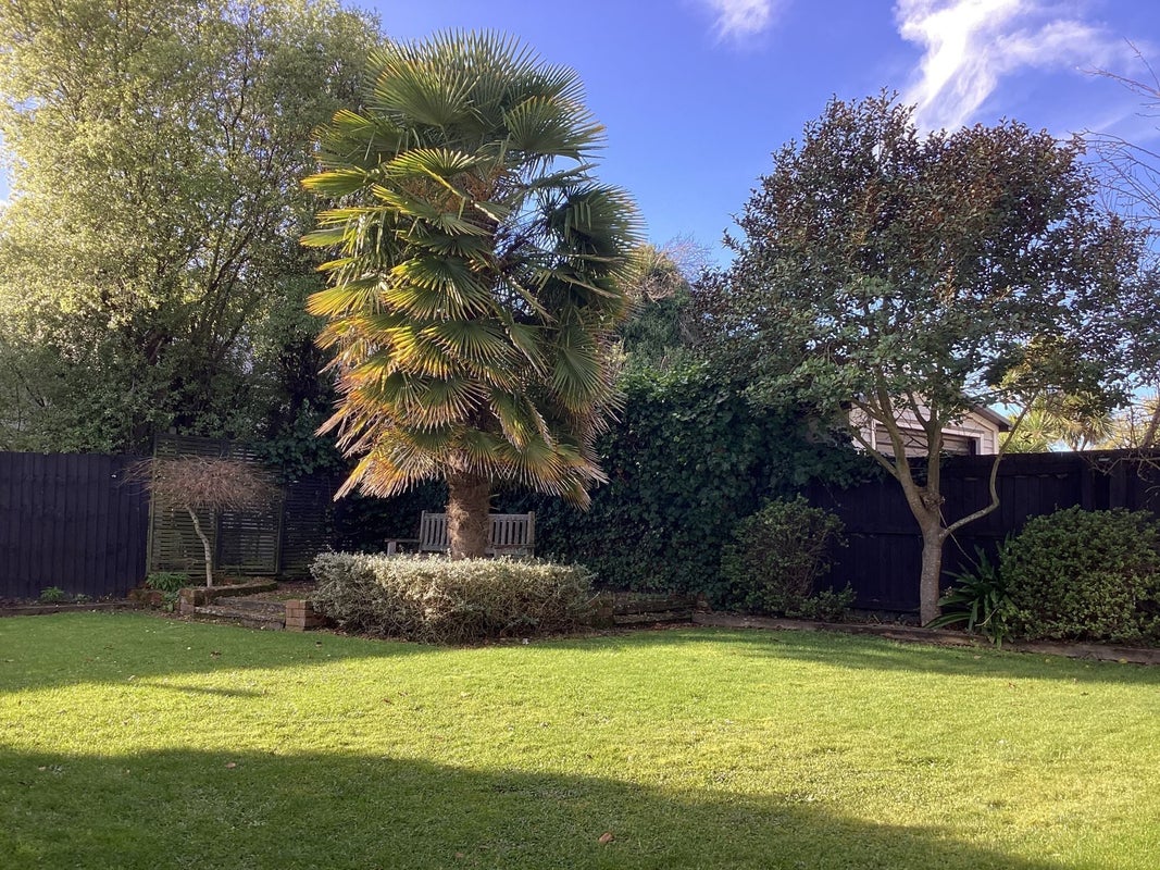 134 Springfield Road, St Albans, Christchurch - Carousel 15