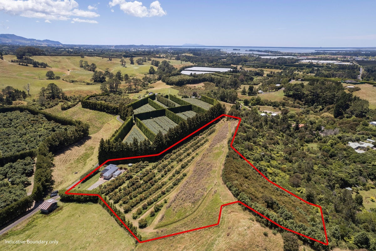 54D Chard Road, Aongatete, Katikati - Carousel 2
