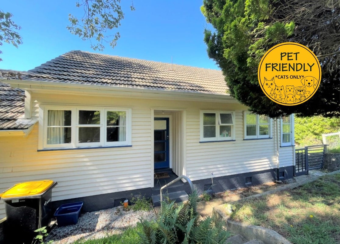 62 Waimea Avenue, Calton Hill, Dunedin - Carousel 2