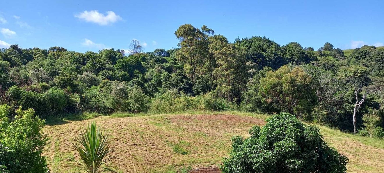 91A Bald Hill Road, Waiuku, Pukekohe - Carousel 1